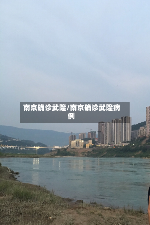 南京确诊武隆/南京确诊武隆病例-第2张图片