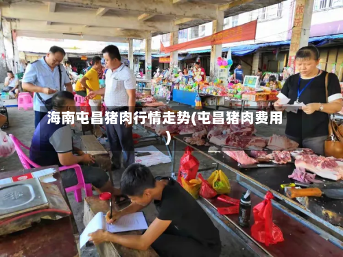 海南屯昌猪肉行情走势(屯昌猪肉费用)