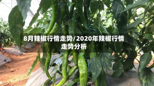 8月辣椒行情走势/2020年辣椒行情走势分析