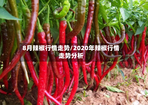 8月辣椒行情走势/2020年辣椒行情走势分析-第3张图片