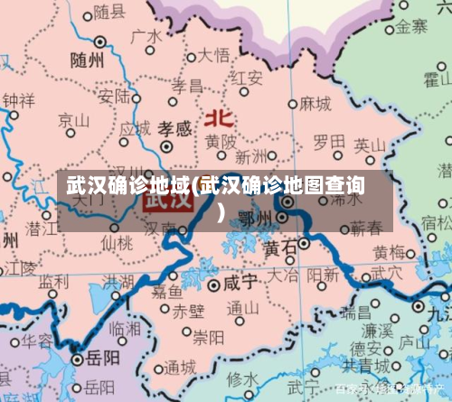 武汉确诊地域(武汉确诊地图查询)-第3张图片
