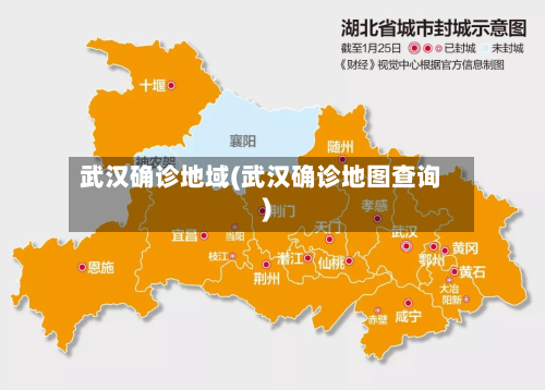 武汉确诊地域(武汉确诊地图查询)-第2张图片
