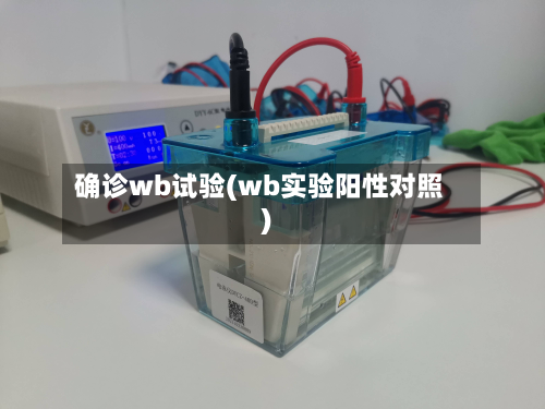确诊wb试验(wb实验阳性对照)-第2张图片