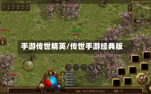 手游传世精英/传世手游经典版-第3张图片