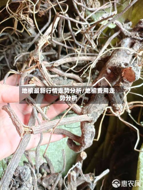 地榆最新行情走势分析/地榆费用走势分析-第3张图片