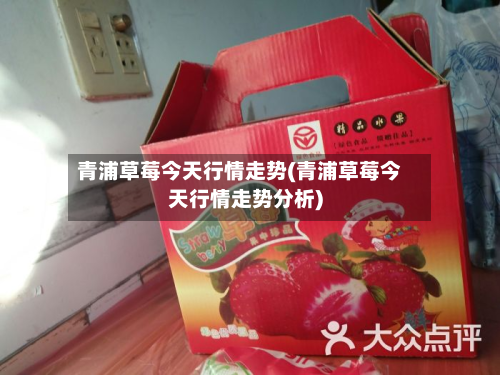 青浦草莓今天行情走势(青浦草莓今天行情走势分析)-第3张图片
