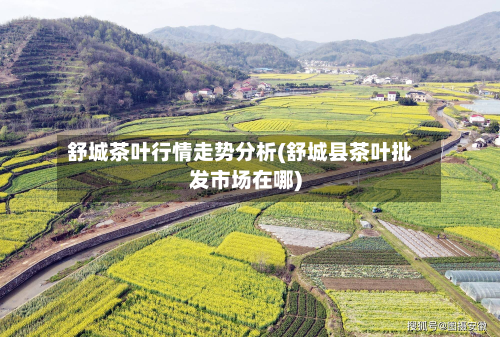 舒城茶叶行情走势分析(舒城县茶叶批发市场在哪)-第3张图片