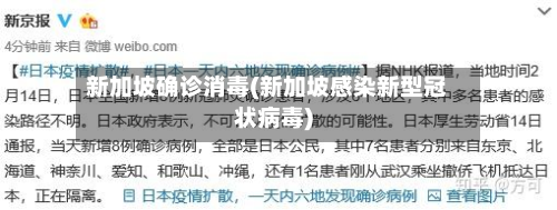 新加坡确诊消毒(新加坡感染新型冠状病毒)-第2张图片