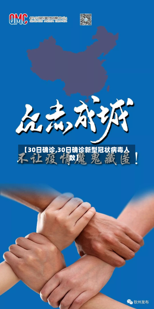 【30日确诊,30日确诊新型冠状病毒人数】-第2张图片
