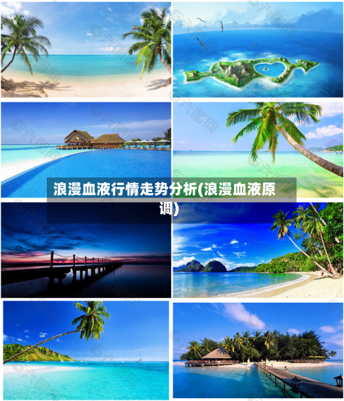 浪漫血液行情走势分析(浪漫血液原调)
