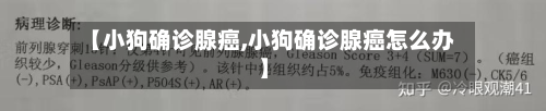 【小狗确诊腺癌,小狗确诊腺癌怎么办】-第3张图片