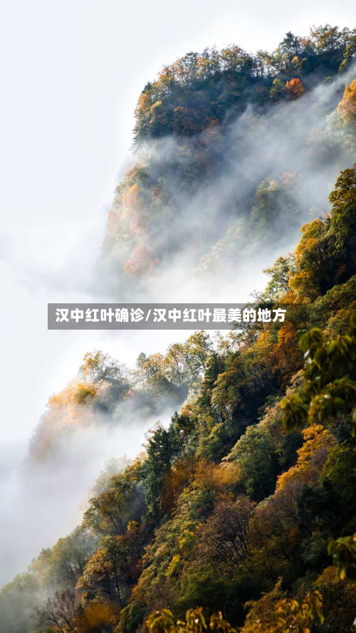 汉中红叶确诊/汉中红叶最美的地方-第2张图片