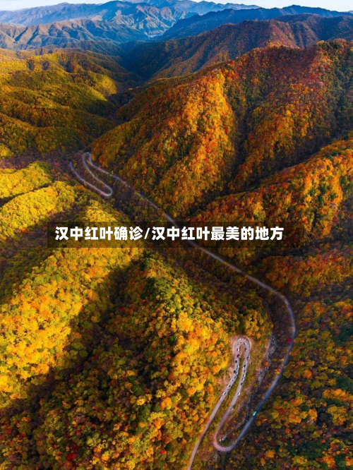 汉中红叶确诊/汉中红叶最美的地方