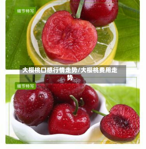 大樱桃口感行情走势/大樱桃费用走势-第2张图片
