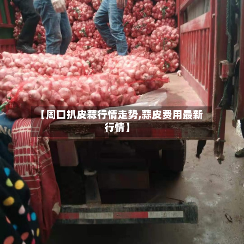 【周口扒皮蒜行情走势,蒜皮费用最新行情】-第2张图片