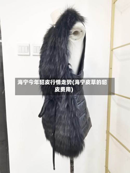 海宁今年貂皮行情走势(海宁皮草的貂皮费用)-第2张图片