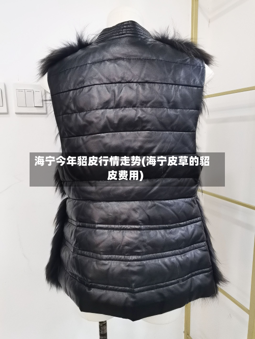 海宁今年貂皮行情走势(海宁皮草的貂皮费用)
