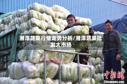 湘潭蔬菜行情走势分析/湘潭蔬菜批发大市场-第2张图片