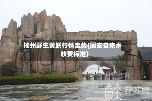 扬州野生黄鳝行情走势(固安自来水收费标准)