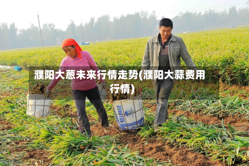 濮阳大葱未来行情走势(濮阳大蒜费用行情)-第2张图片