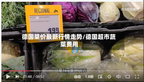 德国菜价最新行情走势/德国超市蔬菜费用-第2张图片