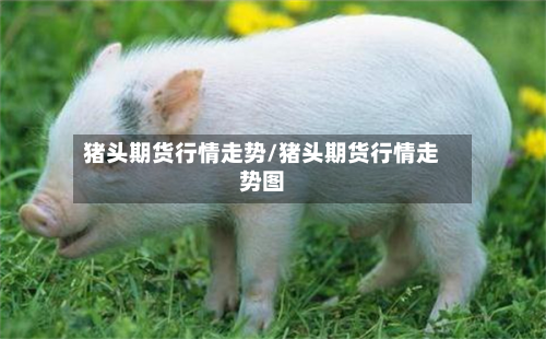 猪头期货行情走势/猪头期货行情走势图-第2张图片