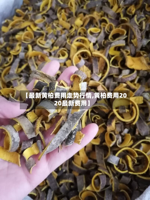 【最新黄柏费用走势行情,黄柏费用2020最新费用】-第2张图片