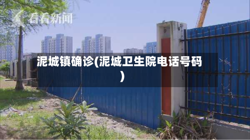 泥城镇确诊(泥城卫生院电话号码)-第3张图片