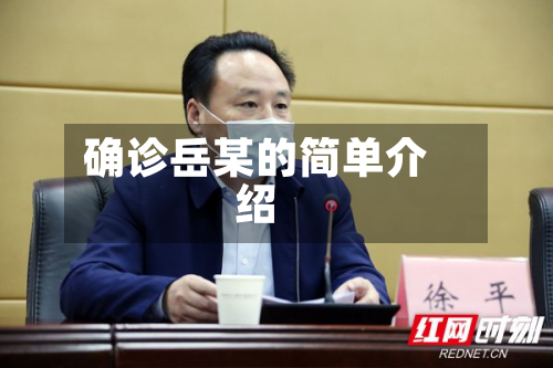 确诊岳某的简单介绍-第2张图片