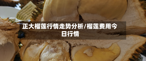 正大榴莲行情走势分析/榴莲费用今日行情