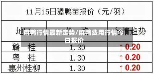 麻鸭行情最新走势/麻鸭费用行情今日报价