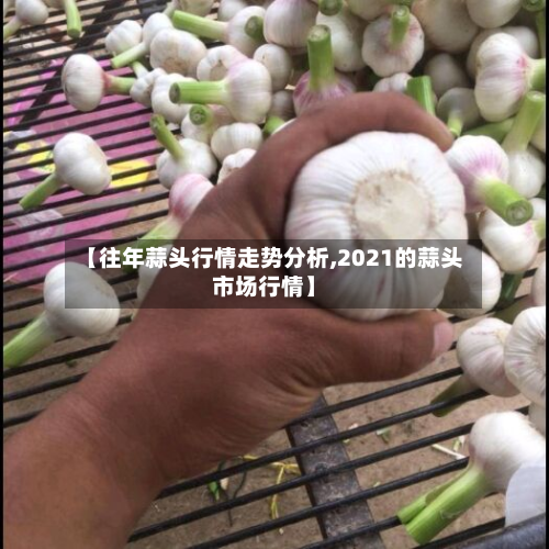【往年蒜头行情走势分析,2021的蒜头市场行情】-第2张图片