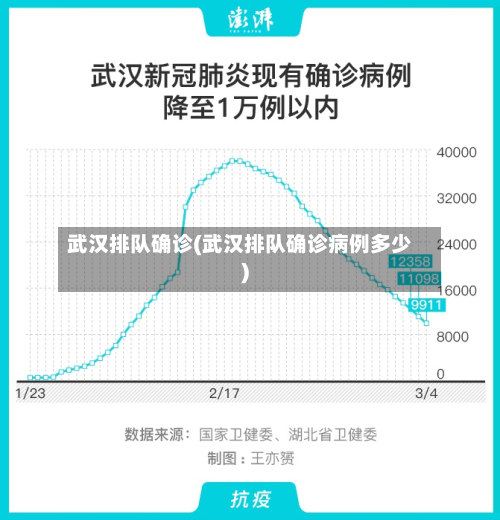 武汉排队确诊(武汉排队确诊病例多少)