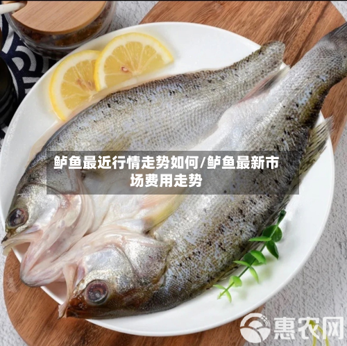 鲈鱼最近行情走势如何/鲈鱼最新市场费用走势-第2张图片