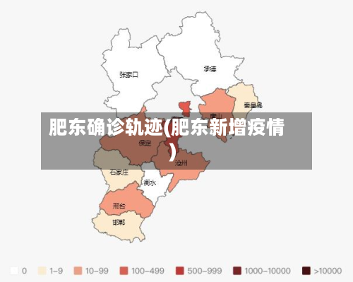 肥东确诊轨迹(肥东新增疫情)-第2张图片