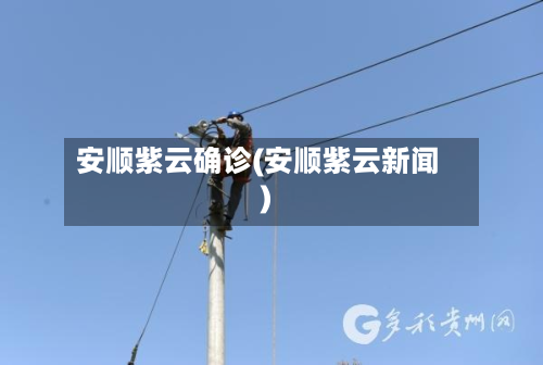 安顺紫云确诊(安顺紫云新闻)-第3张图片