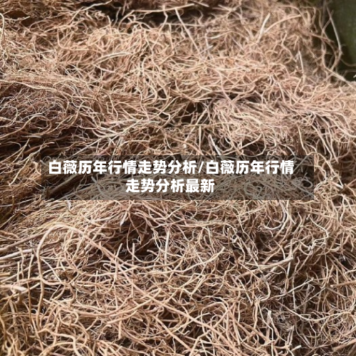 白薇历年行情走势分析/白薇历年行情走势分析最新