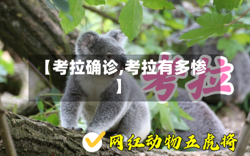 【考拉确诊,考拉有多惨】-第2张图片