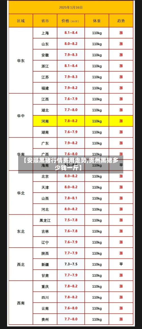 【安顺黑猪行情费用走势,贵州黑猪多少钱一斤】
