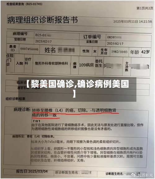 【黎美国确诊,确诊病例美国】-第3张图片