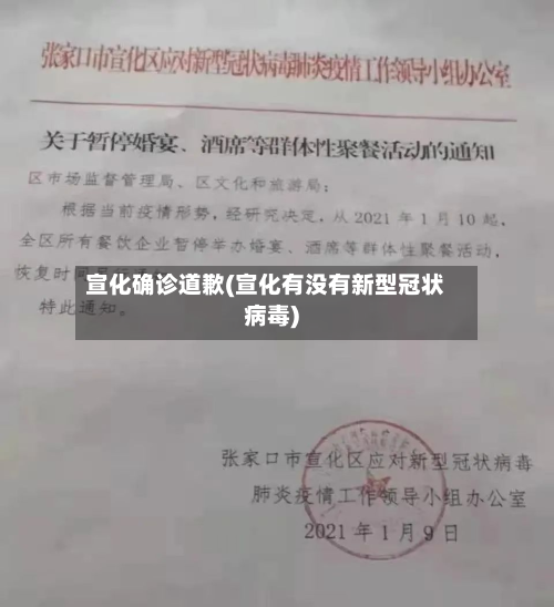 宣化确诊道歉(宣化有没有新型冠状病毒)