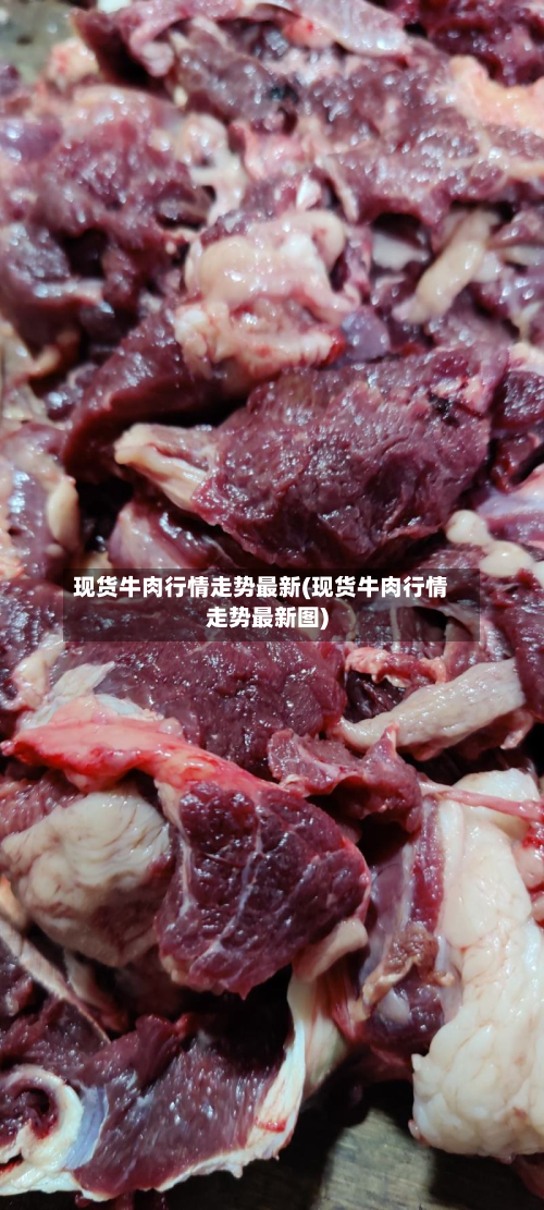 现货牛肉行情走势最新(现货牛肉行情走势最新图)