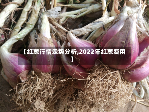 【红葱行情走势分析,2022年红葱费用】-第2张图片