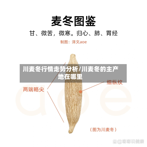 川麦冬行情走势分析/川麦冬的主产地在哪里-第2张图片