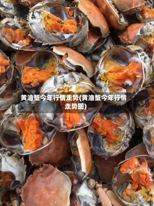 黄油蟹今年行情走势(黄油蟹今年行情走势图)-第3张图片
