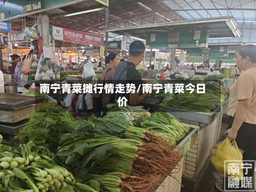 南宁青菜摊行情走势/南宁青菜今日价-第3张图片