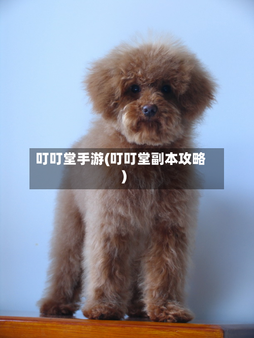 叮叮堂手游(叮叮堂副本攻略)-第2张图片