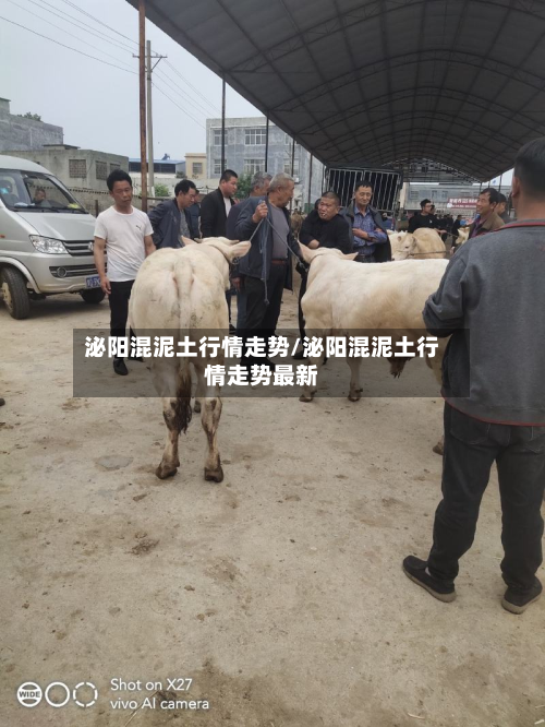 泌阳混泥土行情走势/泌阳混泥土行情走势最新