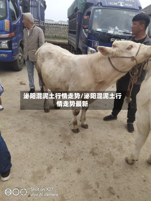 泌阳混泥土行情走势/泌阳混泥土行情走势最新-第2张图片