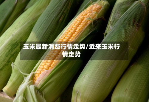 玉米最新消费行情走势/近来玉米行情走势-第2张图片